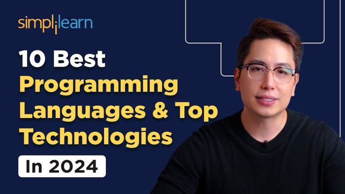 Best tools and IDEs for computer programming in 2024